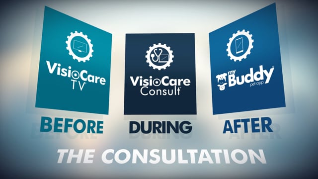 VisioCare Consult Services